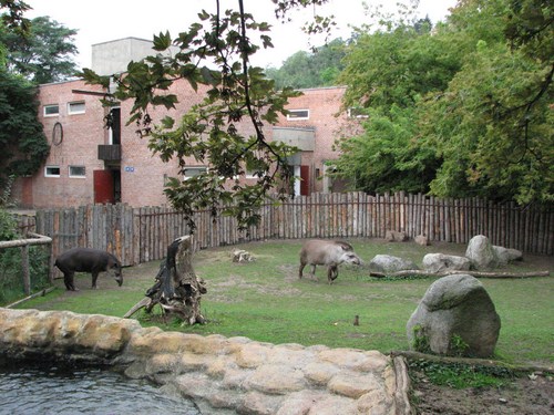 Zoo de Praga