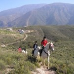Paseos inolvidables a caballo a Las Alpujarras